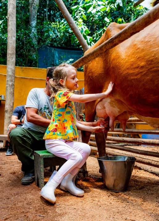 Atividades educativas e vivência com a natureza